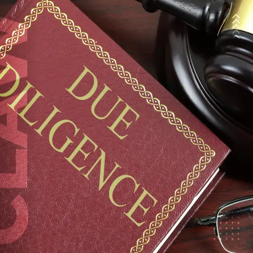 Due Diligence